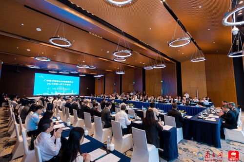 深化粵港交流機(jī)制建設(shè) 廣州南沙粵港合作咨詢(xún)委員會(huì)三周年 成績(jī)單 亮眼